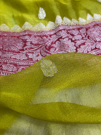 Pista Handloom Khaddi Chiffon Banarasi Saree